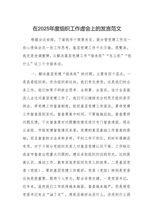 在2025年度组织工作虚会上的发言范文.docx