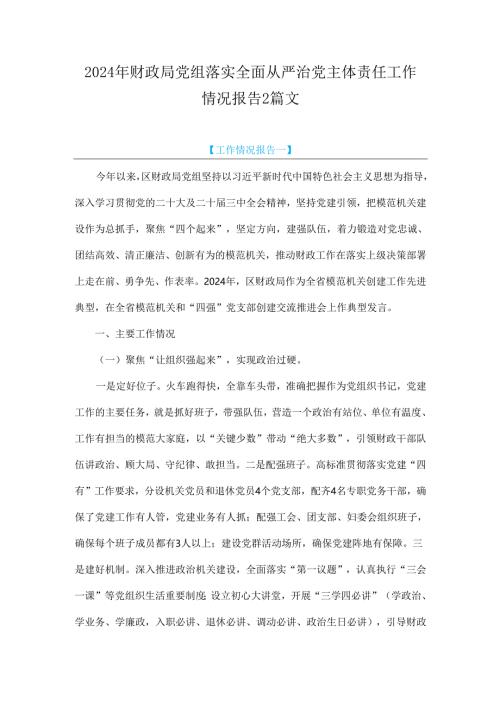 2024年财政局党组落实全面从严治党主体责任工作情况报告2篇文.docx