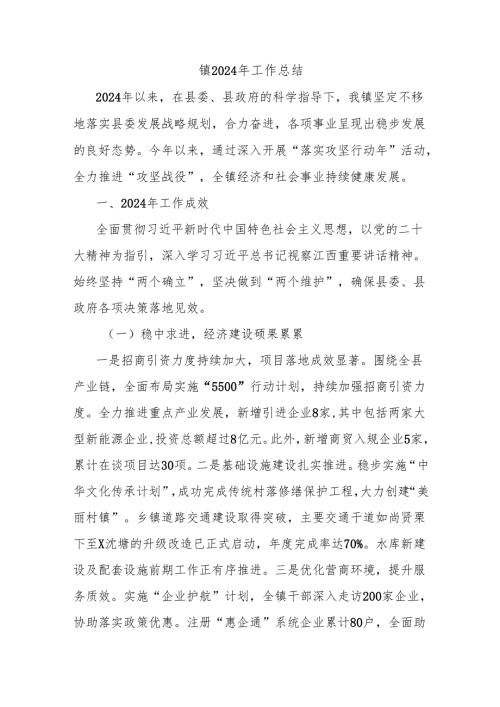 镇2024年工作总结.docx