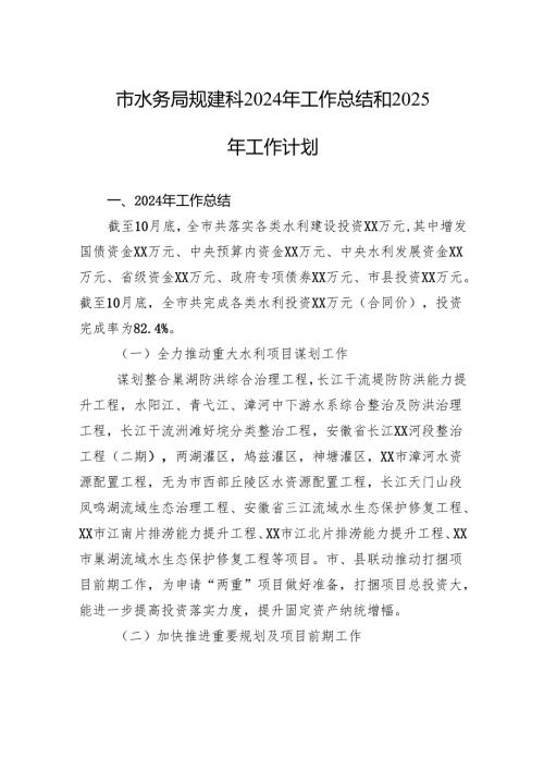市水务局规建科2024年工作总结和2025年工作计划.docx