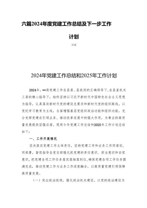 六篇2024年度党建工作总结及下一步工作计划.docx