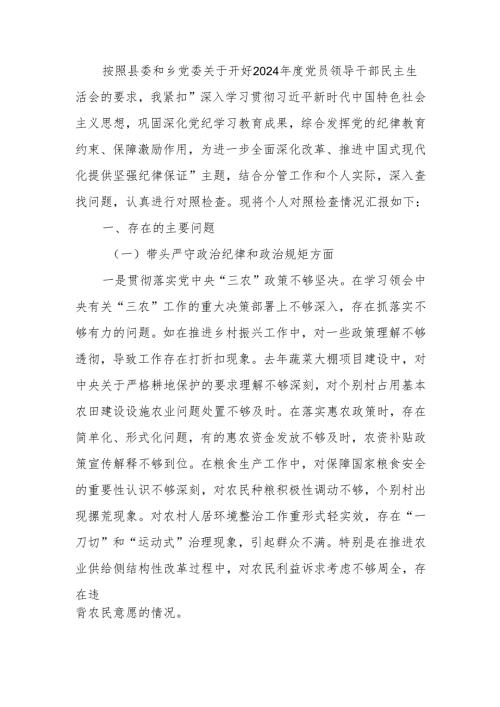 副乡长2024年民主生活检查材料发言材料（四个带头）范文两篇.docx