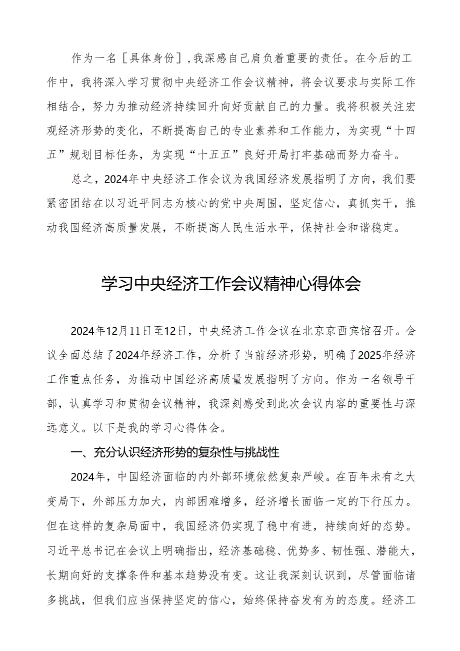 关于学习2024年中央经济工作会议精神的心得体会十篇.docx_第2页