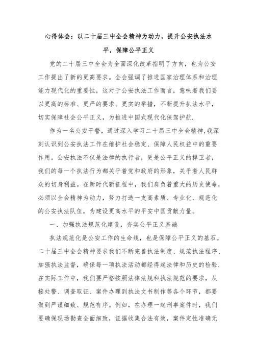 心得体会：以二十届三中全会精神为动力提升公安执法水平保障公平正义.docx