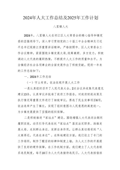 2024年镇人大工作总结及2025年工作计划.docx