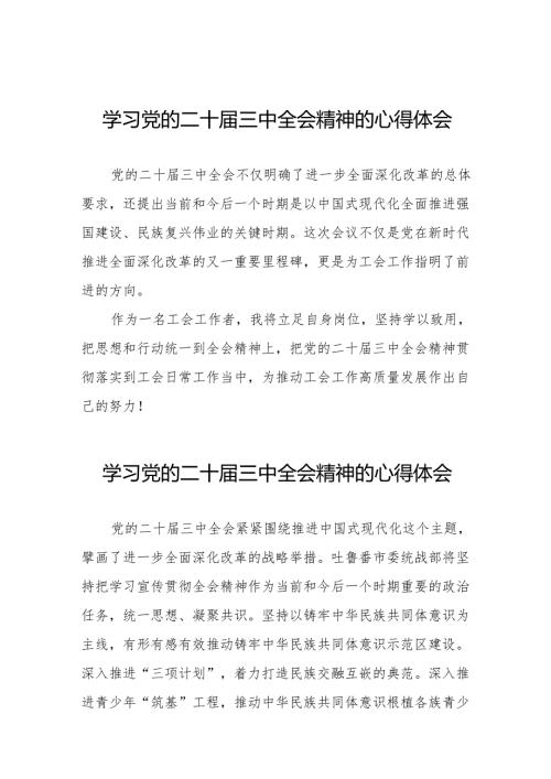 党员学习贯彻党的二十届三中全会精神心得感悟交流发言36篇.docx