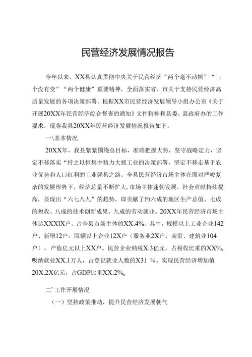 民营经济高质量发展情况汇报.docx