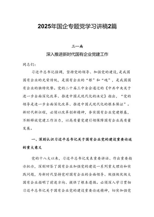 2025年国企专题党学习讲稿2篇.docx