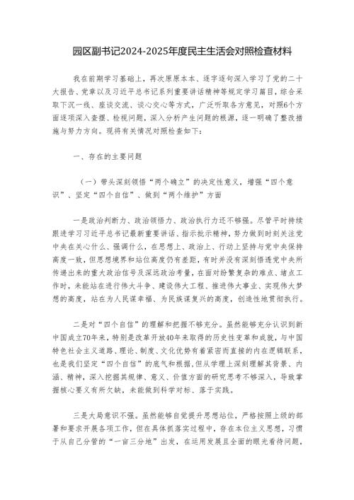 园区副书记2024-2025年度民主生活会对照检查材料.docx
