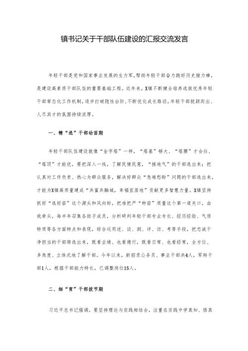 镇书记关于干部队伍建设的汇报交流发言.docx