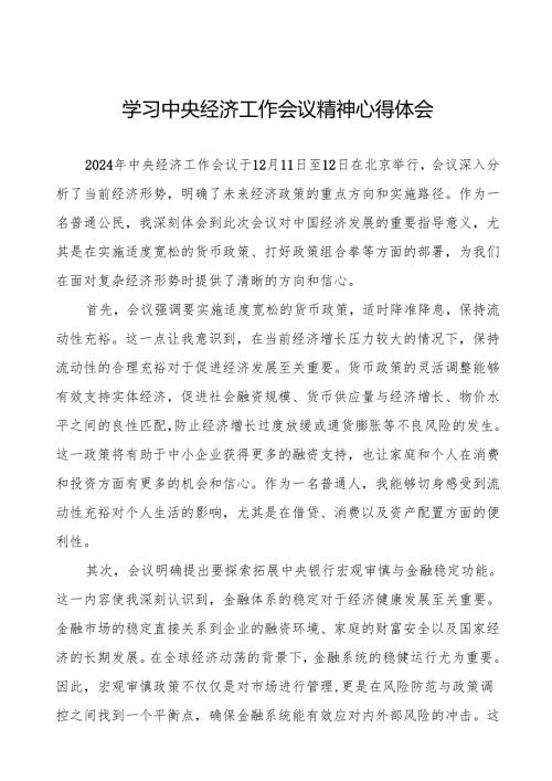 2024年学习贯彻中央经济工作会议精神心得体会发言稿十篇.docx