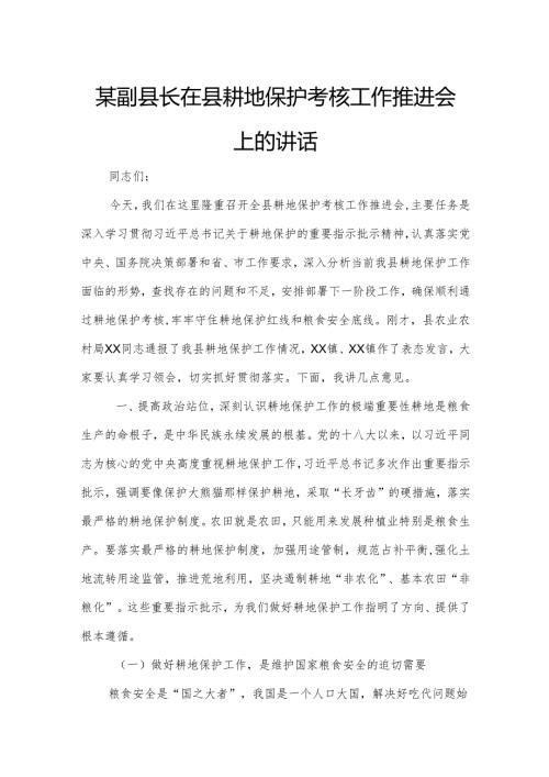 某副县长在县耕地保护考核工作推进会上的讲话.docx