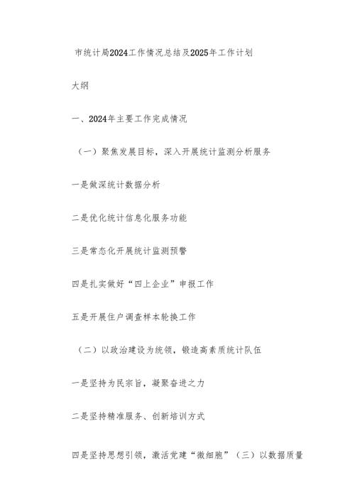 市统计局2024工作情况总结及2025年工作计划.docx