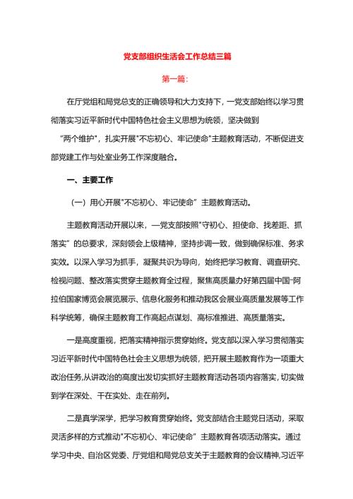 党支部组织生活会工作总结.docx