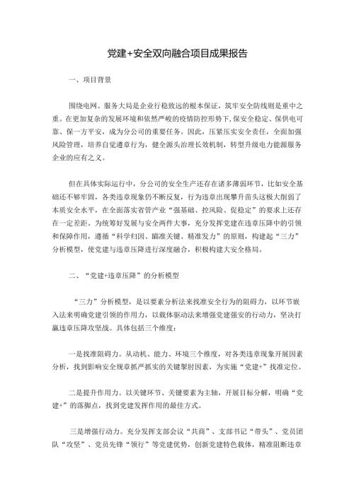党建+安全双向融合项目成果报告.docx