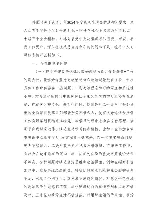 副乡长2024年民主生活个人检查发言材料（四个带头）范文两篇.docx