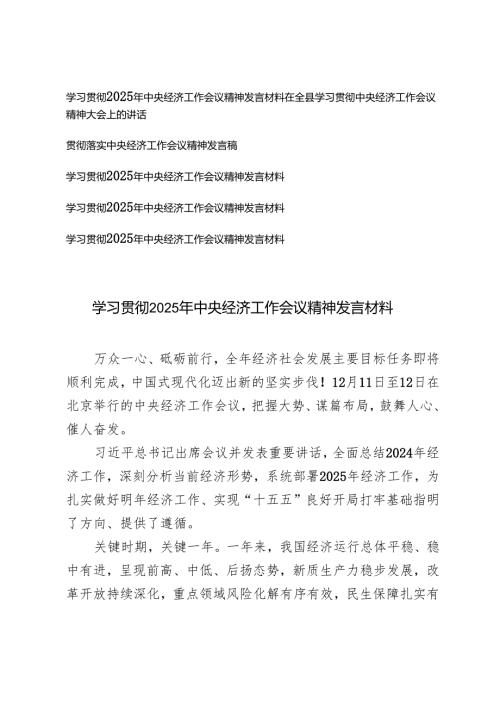 6篇范文 学习2025年中央经济工作会议精神发言材料.docx