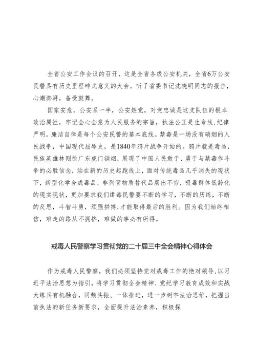 禁毒大队大队长学习党的二十届三中全会精神发言材料（共七篇）.docx
