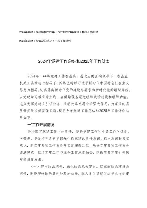 2024年党建工作情况总结及2025年下一步工作计划.docx