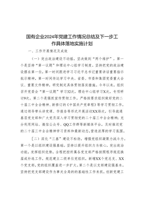 国有企业2024年党建工作情况总结及下一步工作计划.docx