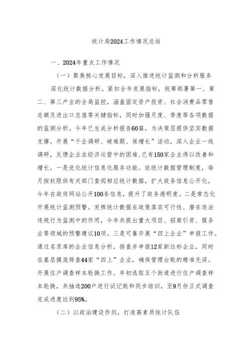 统计局2024工作情况总结.docx