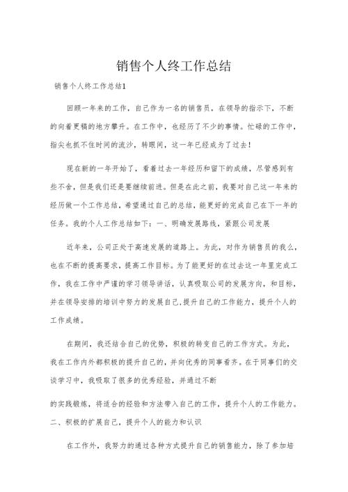 销售个人终工作总结.docx