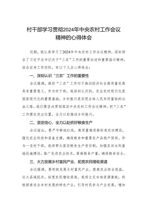 2024年村干部学习贯彻中央农村工作会议精神的心得体会.docx