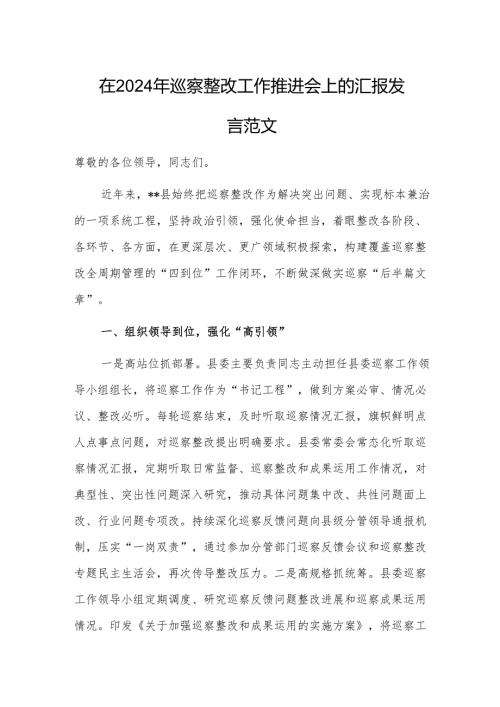 在2024年巡察整改工作推进会上的汇报发言范文.docx