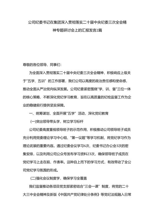 公司纪委书记在集团深入贯彻落实二十届中央纪委三次全会精神专题研讨会上的汇报发言2篇.docx