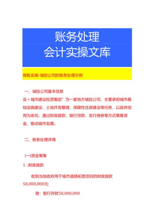 做账实操-城投公司的账务处理示例.docx