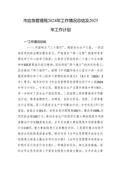 市应急管理局2024年工作情况总结及2025年工作计划.docx