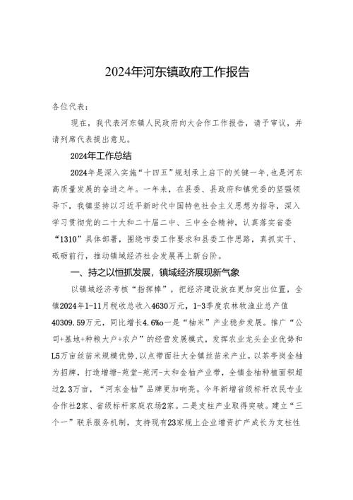 2024年河东镇政府工作报告（20241222）.docx