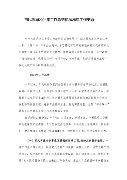 市民政局2024年工作总结和2025年工作安排.docx