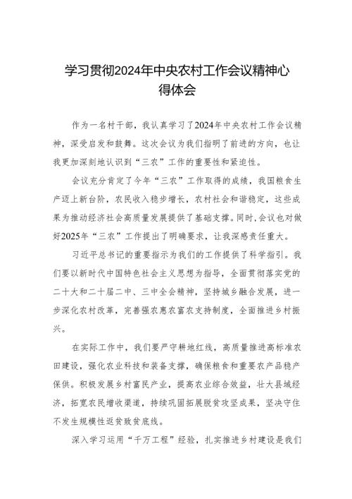 村干部学习2024年中央农村工作会议精神心得体会发言稿.docx