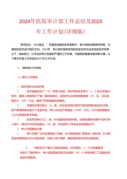 2024年医院审计部工作总结及2025年工作计划（详细版）.docx