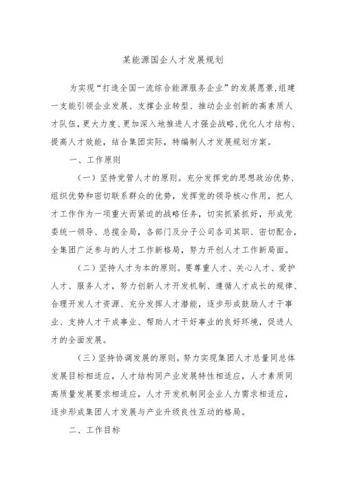 某能源国企人才发展规划.docx