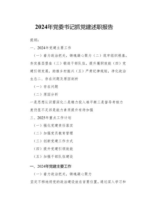 2024年党委书记抓党建述职报告.docx