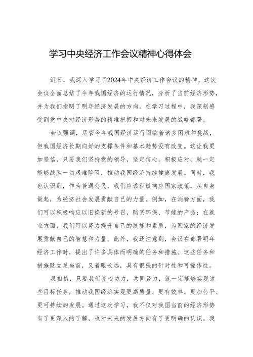 八篇学习2024年中央经济工作会议精神心得体会个人发言材料.docx