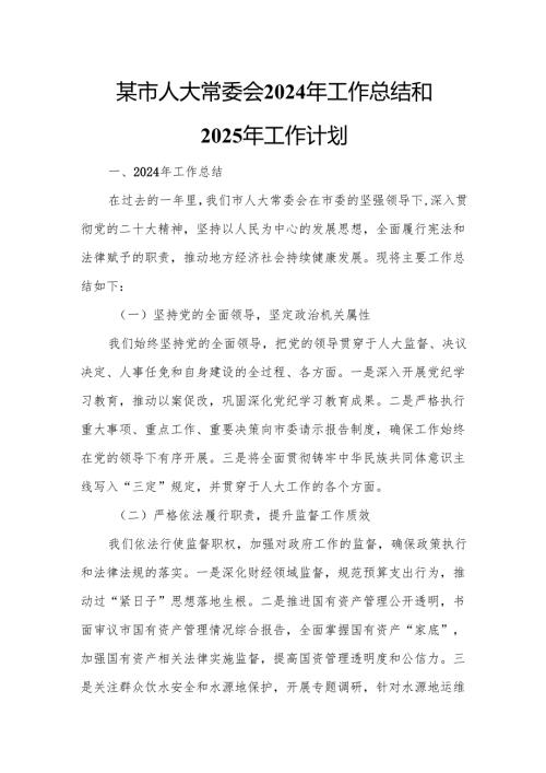 某市人大常委会2024年工作总结和2025年工作计划.docx