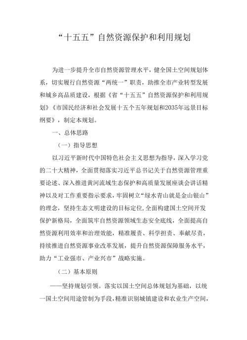 “十五五”自然资源保护和利用规划.docx