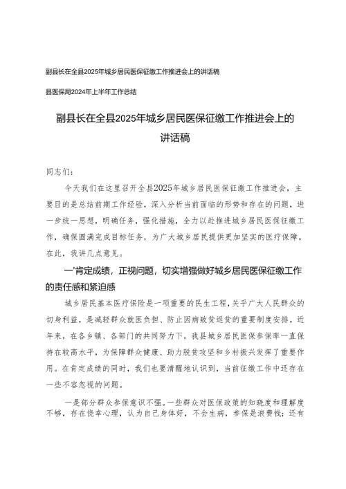在2025年城乡居民医保征缴工作推进会上的讲话稿+县医保局2024年上半年工作总结.docx
