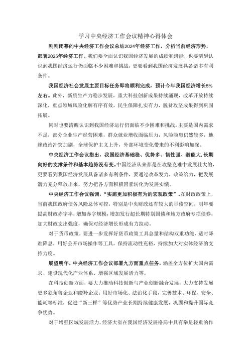 学习2025经济工作会议精神心得体会三.docx