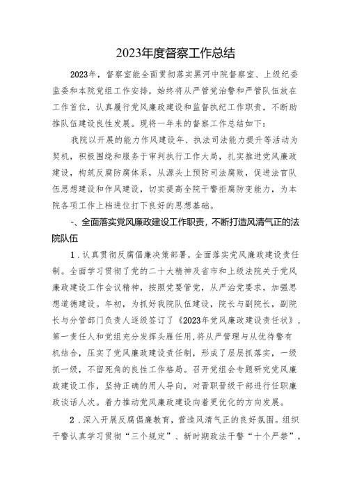 2023年度督察工作总结.docx