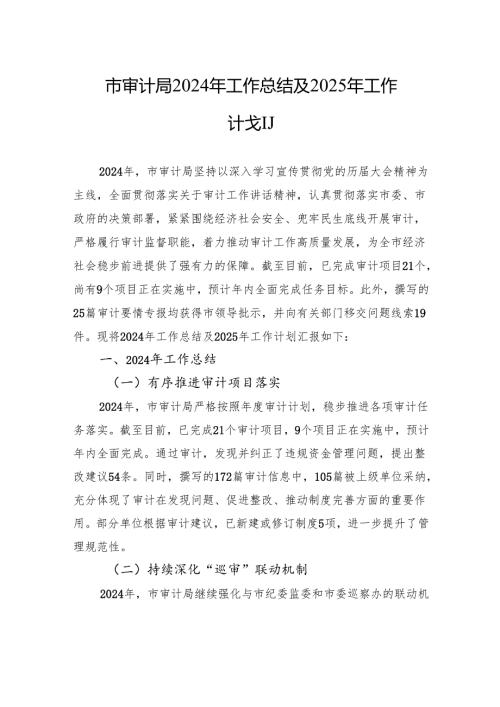 市审计局2024年工作总结及2025年工作计划.docx