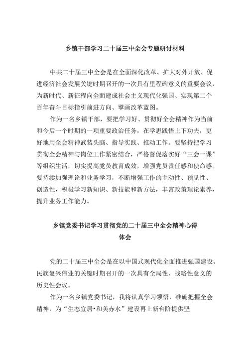 乡镇干部学习二十届三中全会专题研讨材料（共五篇）.docx