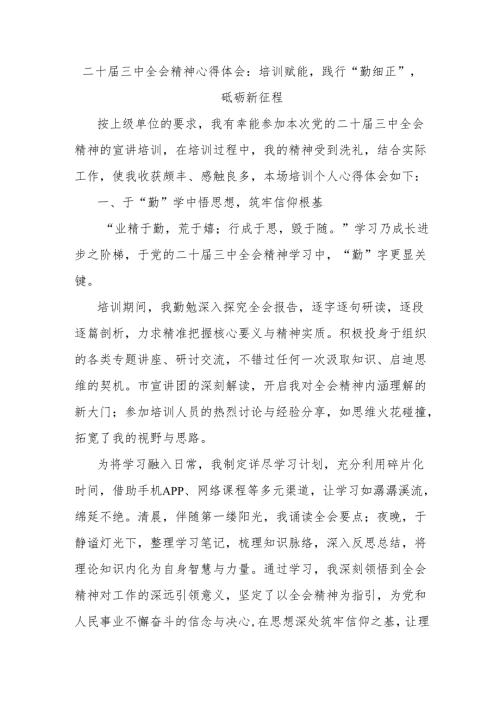 二十届三中全会精神心得体会：培训赋能践行“勤细正”砥砺新征程.docx