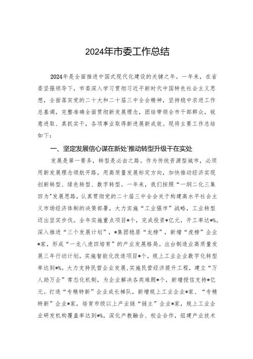 2024年市委工作总结.docx