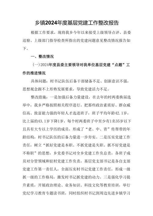 乡镇2024年度基层党建工作整改报告.docx