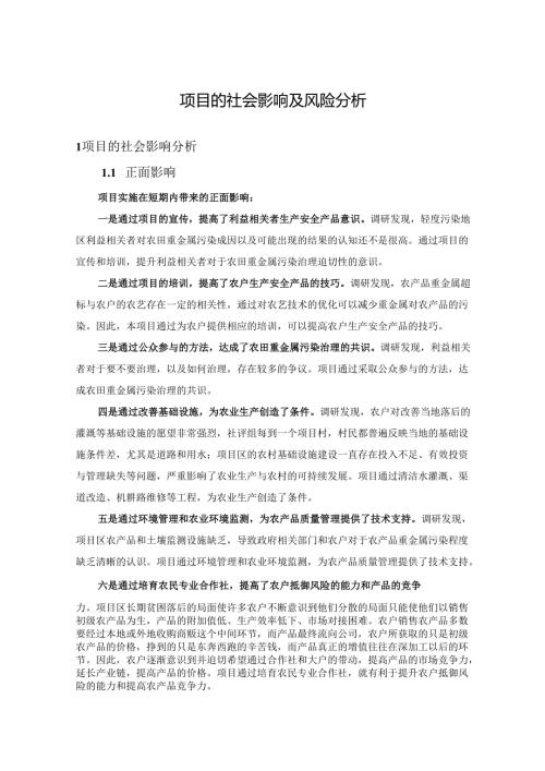 项目的社会影响及风险分析报告.docx