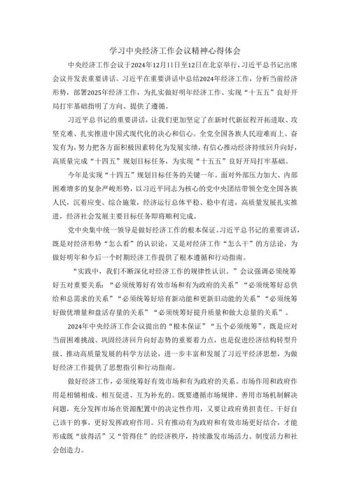 学习2025经济工作会议精神心得一.docx